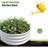 2Pcs W840116761 Galvanized Metal Planter Box For Diy Garden Design, Open Bottom Soil Aeration Raised Bed Growing Carrot And Herbs, Double - Layer Galvanizing-722458414-722458412