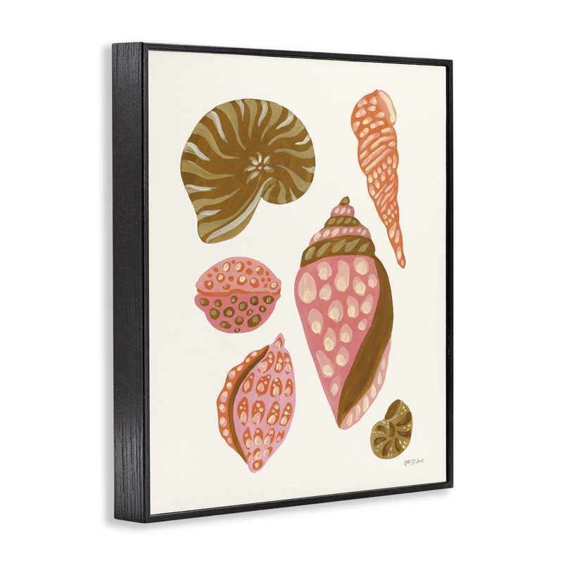  Collection de coquillages tropicaux, estampe numérique par Yvette St. Amant, H 14 po x l 11 po, Giclée encadrée noir minuit