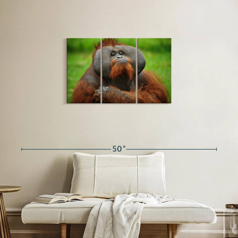 Orang-outan autoritaire, H 20 po x l 33 po