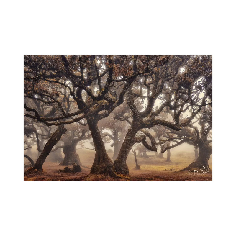 The Hidden Truth by Martin Podt - Wrapped Canvas Gallery-Wrapped Canvas Giclée