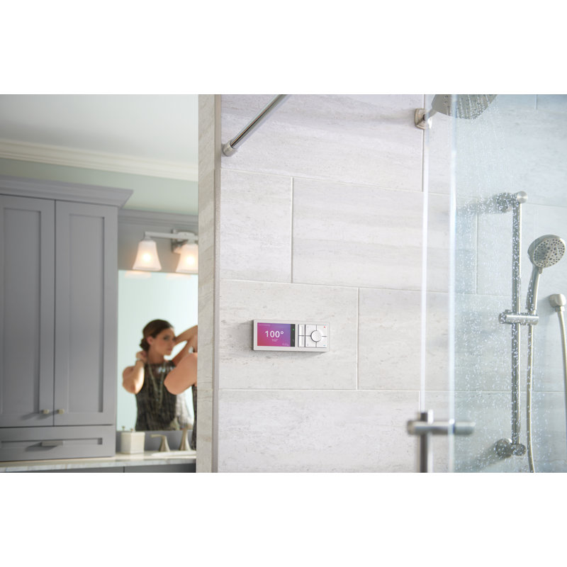 Pomme de douche à main à quatre jets Eco-Performance de Moen avec boyau d'arrosage de 69 po de longueur et barre coulissante de 30 po