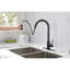 Robinet de cuisine rétractable - Acier inoxydable noir mat, buse pivotante à 360 °, corrosion et rouille, poignée simple pour la régulation de la température et du débit de l'eau avec traitement antirouille rotatif, pratique-1158160909