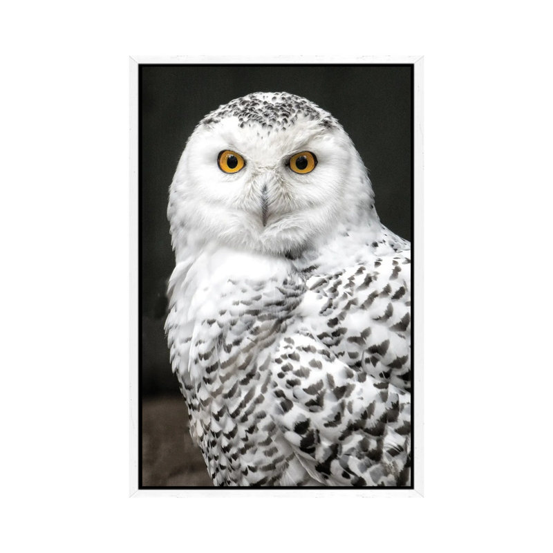 Snowey 1 Piece Wall Art on Canvas, 66.04 cm H x 45.72 cm W, White Framed