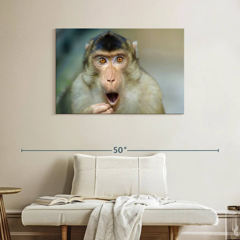 Brampt Monkey I, 26" H x 39" W