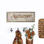 Automne «The Season Of The Soul», citrouille blanchie-335142576