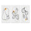 Organic Hipster Fruits III - ensemble de 3 impressions sur toile tendue-190558615