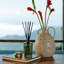 Temple Moss Luxe Reed Diffuser