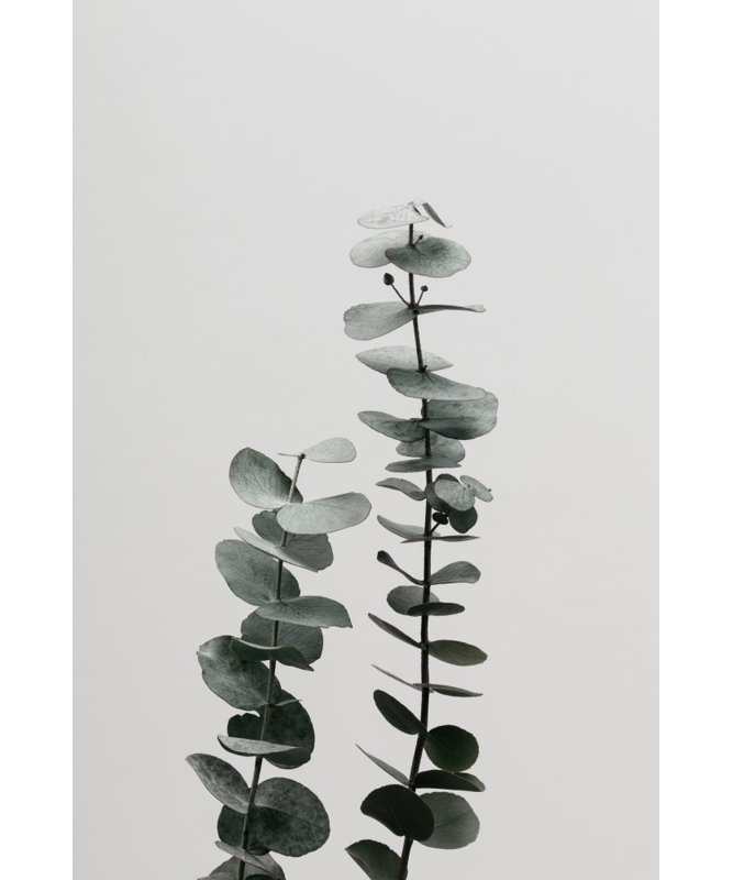 Wrapped Canvas Print, 76.2 cm H x 50.8 cm W
