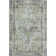 Premium Machine Washable Lucchesi AMF1729 Global Rug