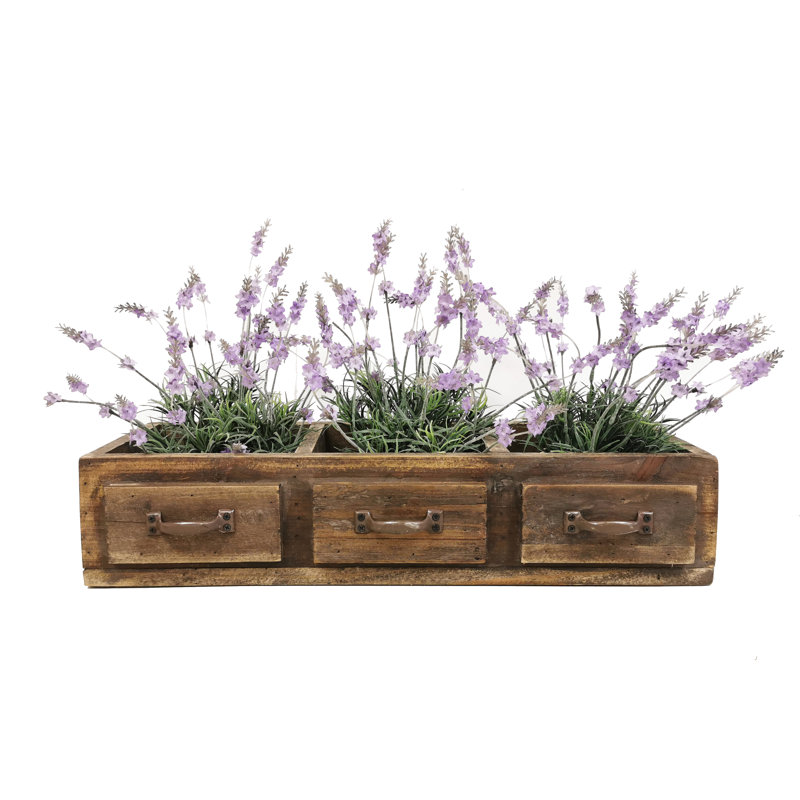 Bhaven Wood Planter Box