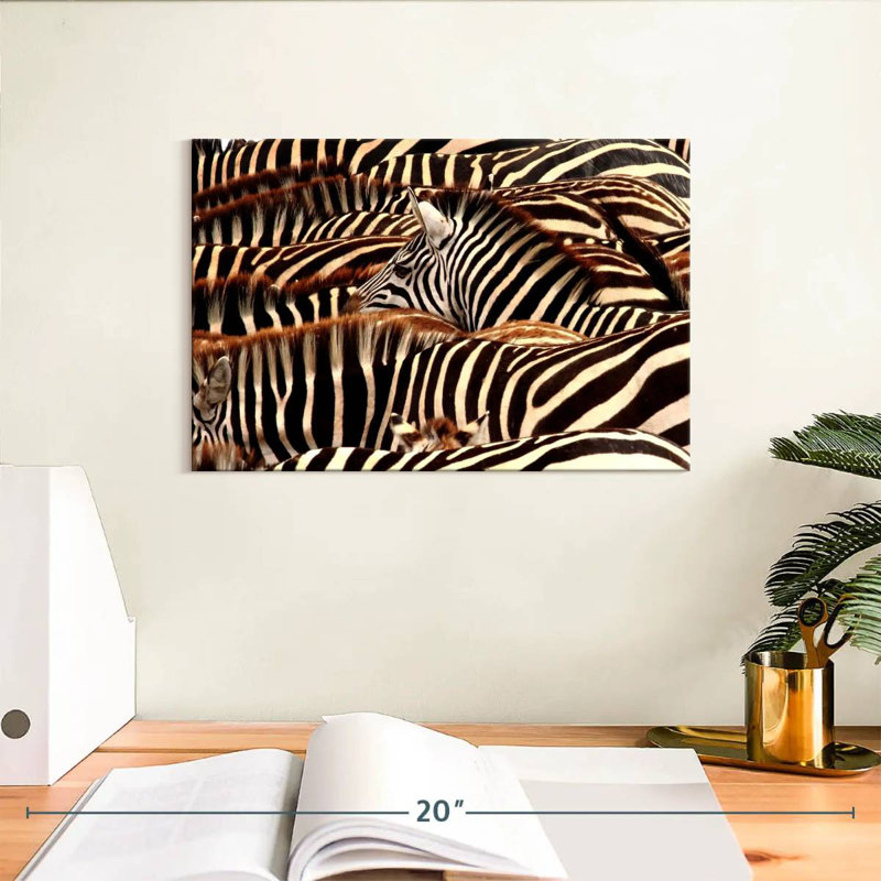 Brampt Serengeti Zebra Stripes, 8" H x 12" W