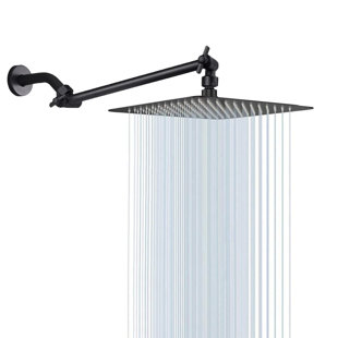 Rain Adjustable Shower Head 2.5 GPM GPM
