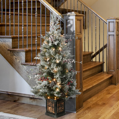 4ft. Frosted Snowhaven Pine Christmas Entrance Tree with Clear Lights