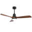 Ceiling Fan with LED Lights