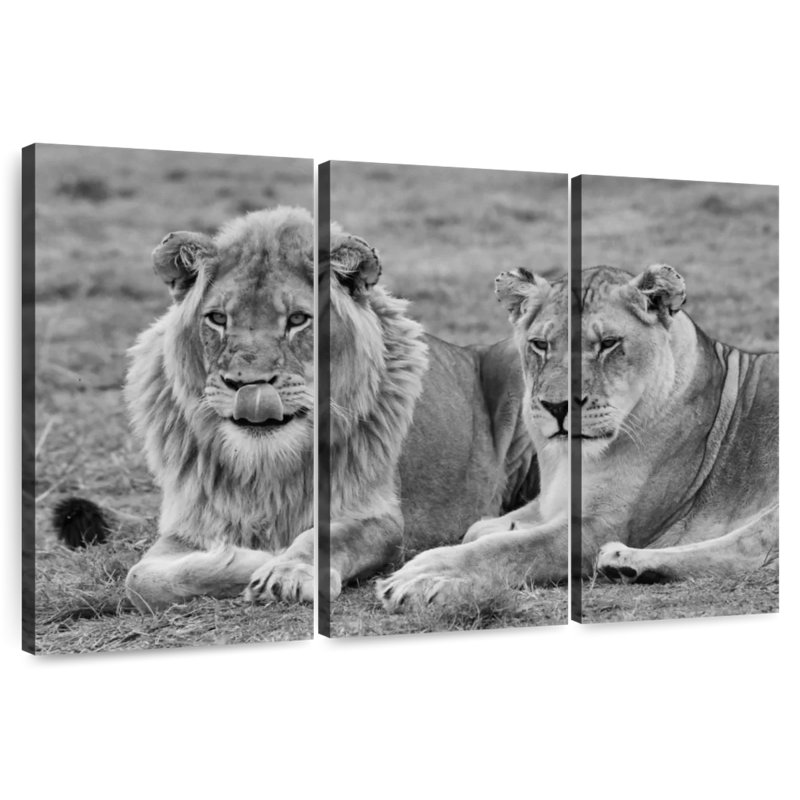 Brampt Lion Couple I, 48" H x 74" W