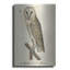 «Barn Owl 1560-1585» par Inconnu, art mural en métal-2057431151