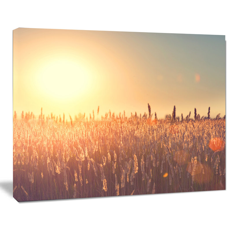 "Rurale terre sous le soleil brillant", reproduction de photo sur toile tendue, H 30 po x l 40 po