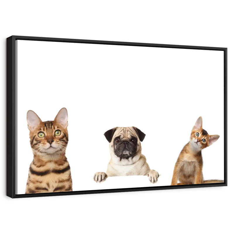 Pug And Cats, 17" H x 25" W