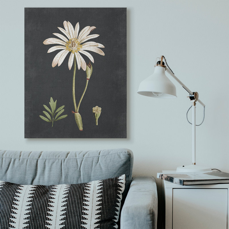 « botanique drawing white on black design », impression, Toile tendue, H 48 po x l 36 po