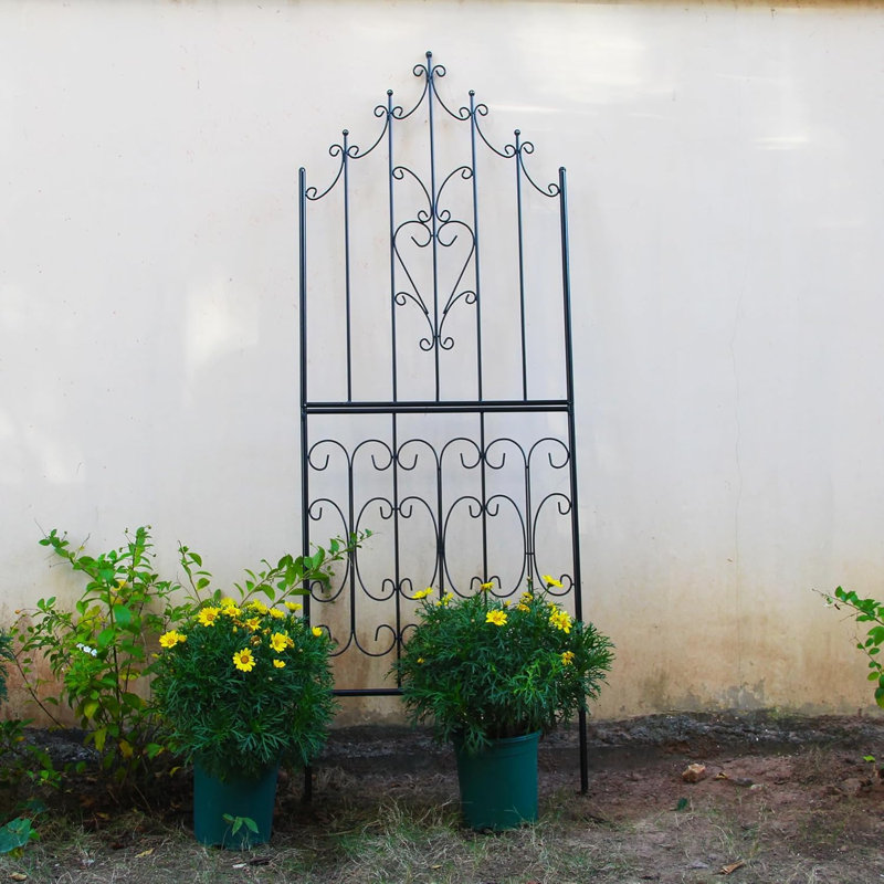Treillis de jardin pour plantes grimpantes H 70,8 po x l 25,6 po