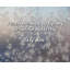 Citation artistique «Apprenez-moi à voler, mon beau papillon». Toile tendue par Jay Bell Gallery
