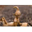 Edna Fantasy & Sci-Fi Plastic Garden Statue