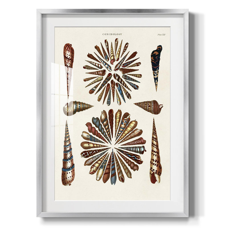 Kammerer -Gallery Wrapped Canvas