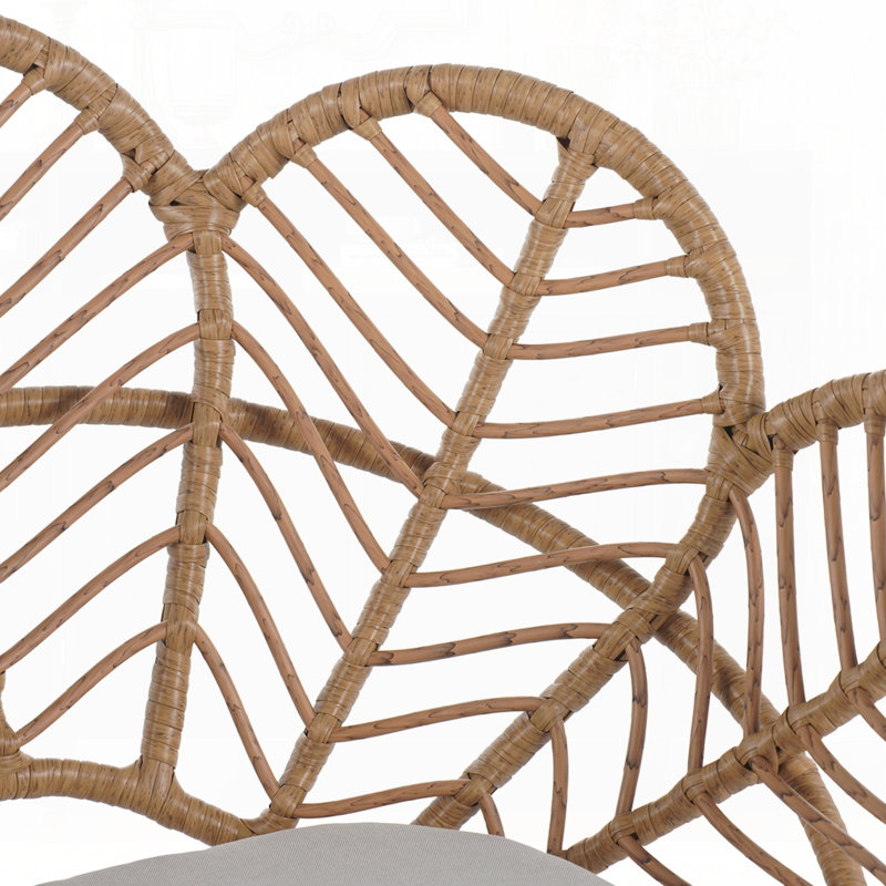 Ensemble de 2 chaises d'extérieur en osier