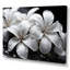 Plumeria Blooms in Stormy Greys - Décoration murale Plumeria-632308079-632308052