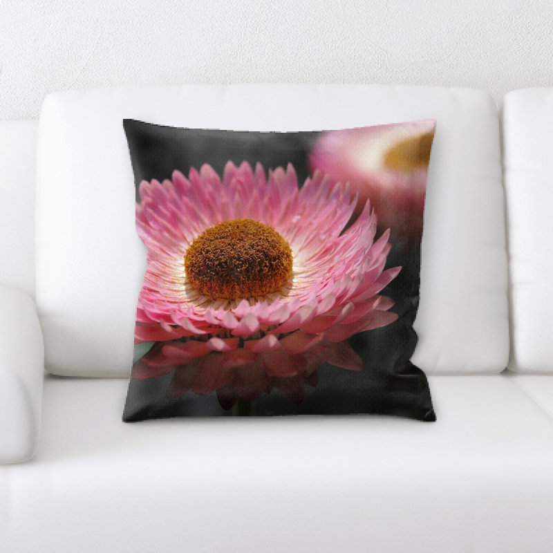 Coussin helichrysum