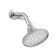 Forté 1.75 GPM Single-Function Showerhead with Katalyst(R) Air-Induction Technology