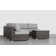 Hewie Wicker Fully Assembled 4 - Person Seating Group with Cushions