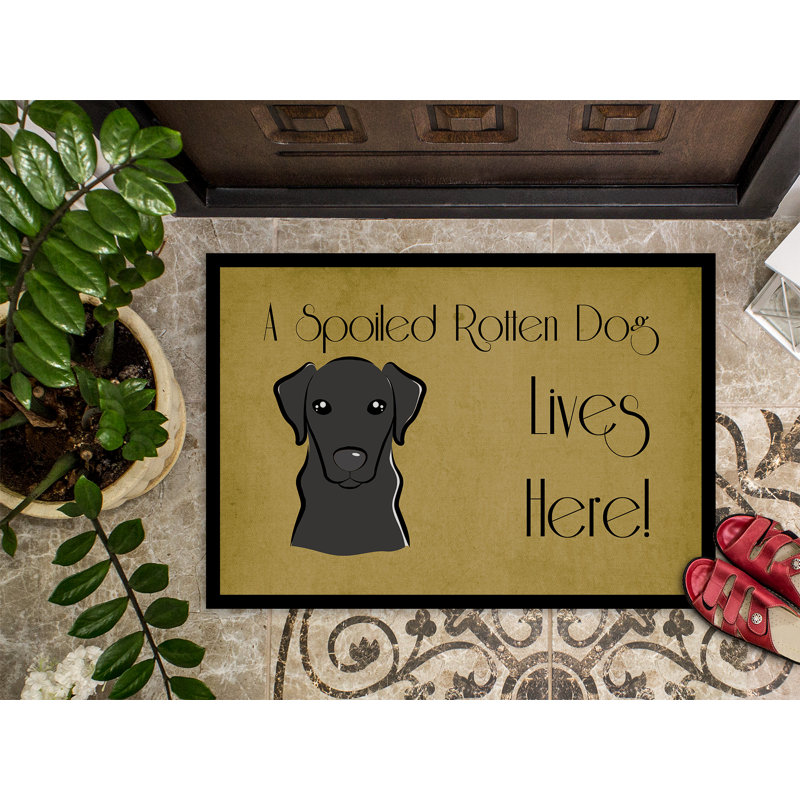 Ubly Non-Slip Outdoor Doormat, Rectangle 1'6" x 2'3", Black