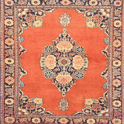 Oriental Indoor Rug