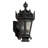 Tianna Steel Armed Sconce