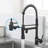 FLG Pull Down Kitchen Faucet