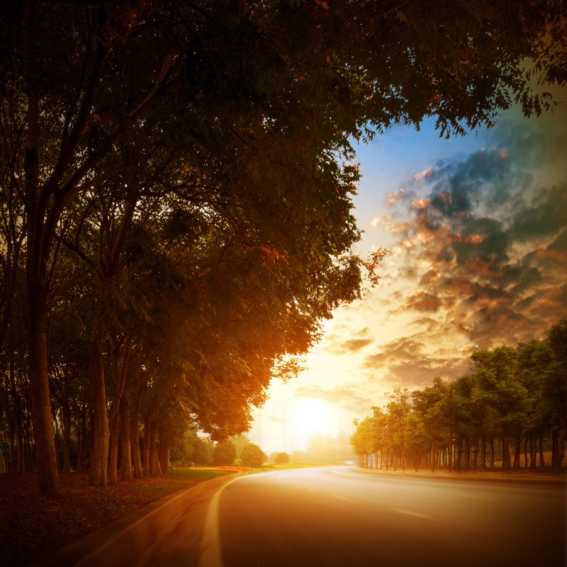 " Highway " by Gyn9038, 20" W x 20" H