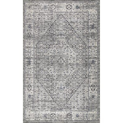 Barajas Oriental Gray Area Rug