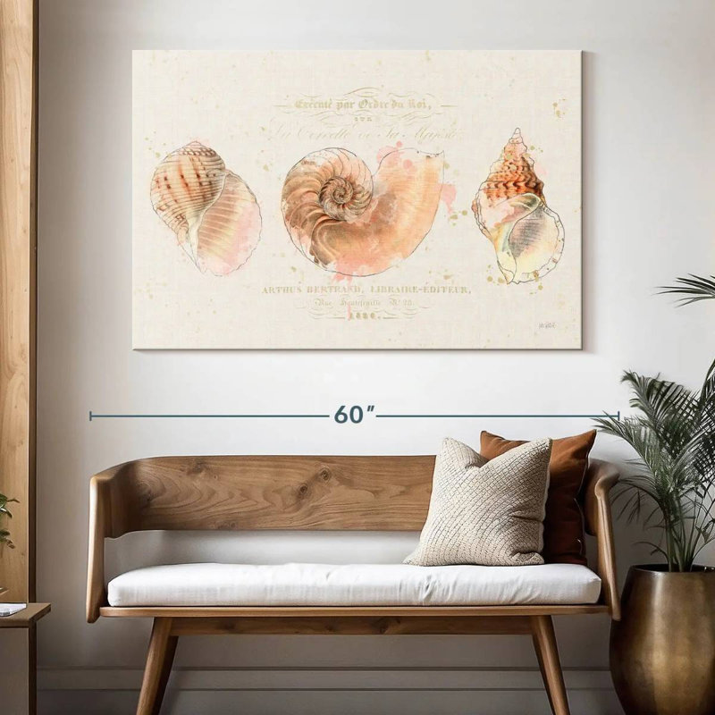 Aletra Pretty Shells Collection I, 34" H x 51" W