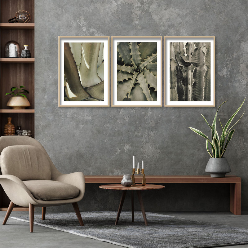 «Succulents by 1X», ensemble de 3 reproductions encadrées sur bois, L 96 po x H 36 po