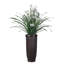 55 po citronnelle artificielle dans un vase