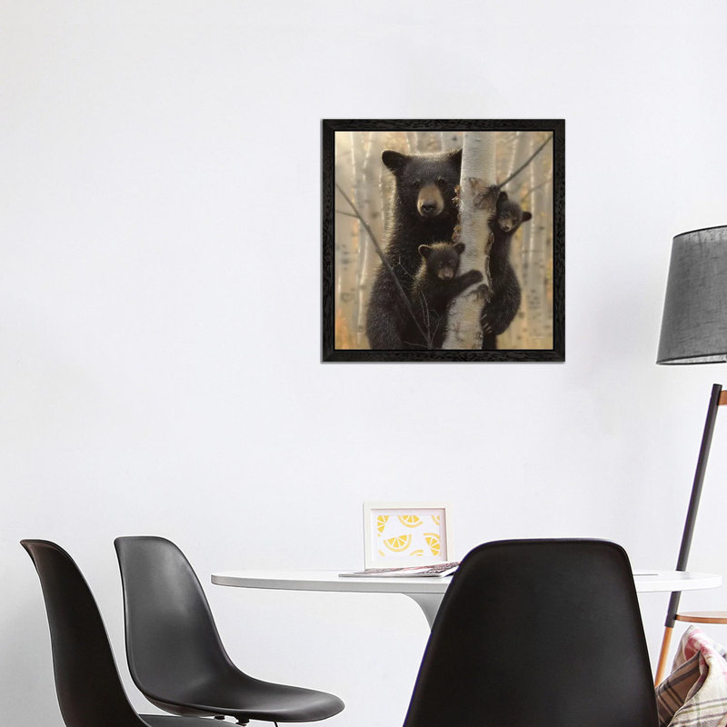Mama Black Bear, Square by Collin Bogle - Floater Frame Print on Canvas, Black, 66.04 cm H x 66.04 cm W