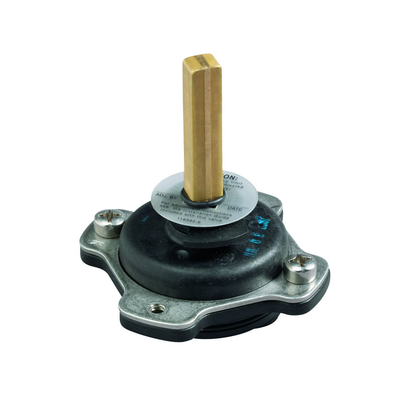 MIXER CAP SP KIT