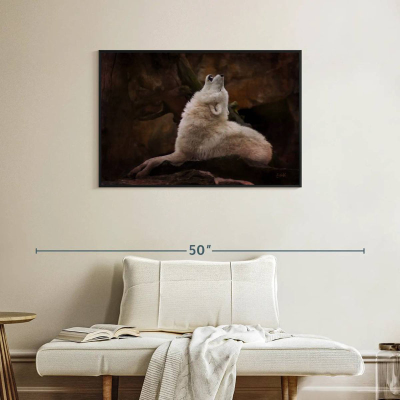 Loup blanc, Cadre flottant noir, 37 po x 25 po