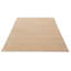 Tapis en soie brun clair ombre 8 pi 2 po x 10 pi 0 po