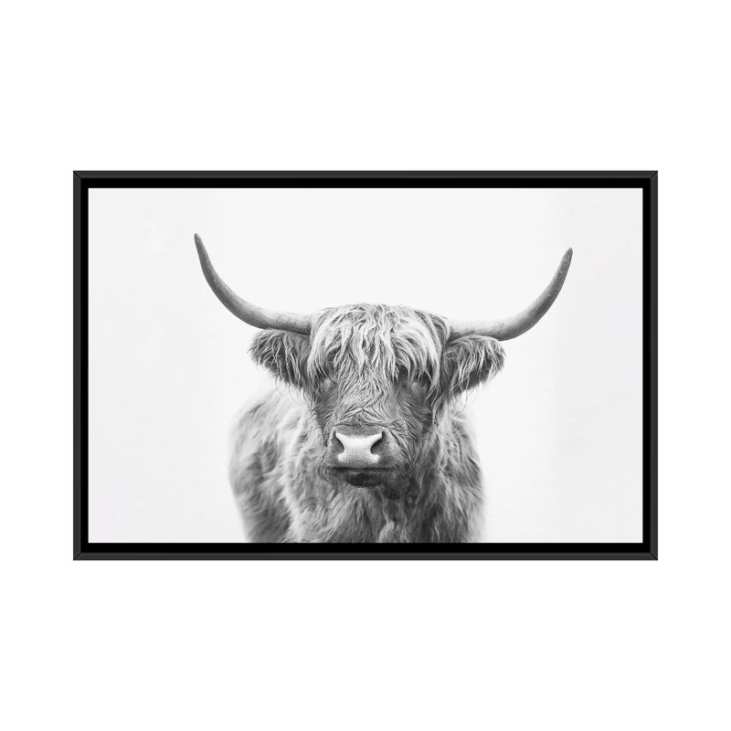«Highland Bull» par Sissi & Seb - impression d'art graphique, 18" H x 26" W x1.5" D, Pas de tapis, Black Frame