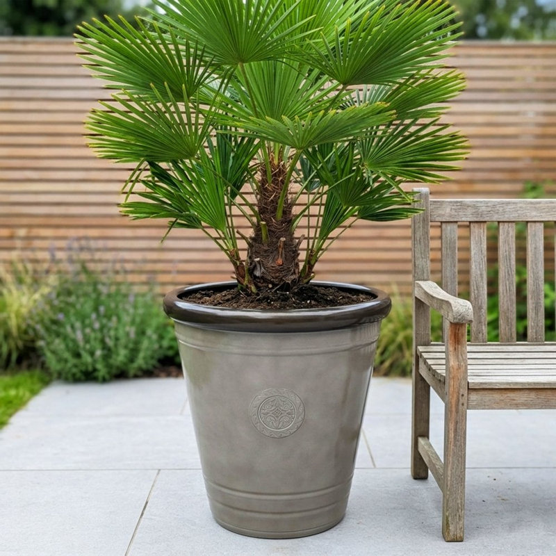 Handmade Pot Planter