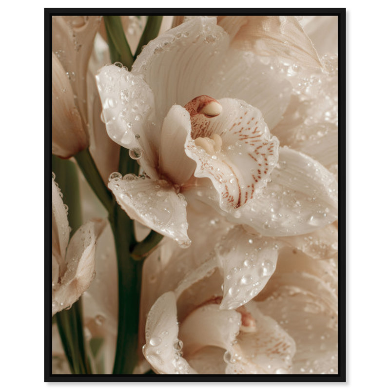 Water Droplets Print by Oliver Gal, 37" H x 31" W, Black Floater Frame