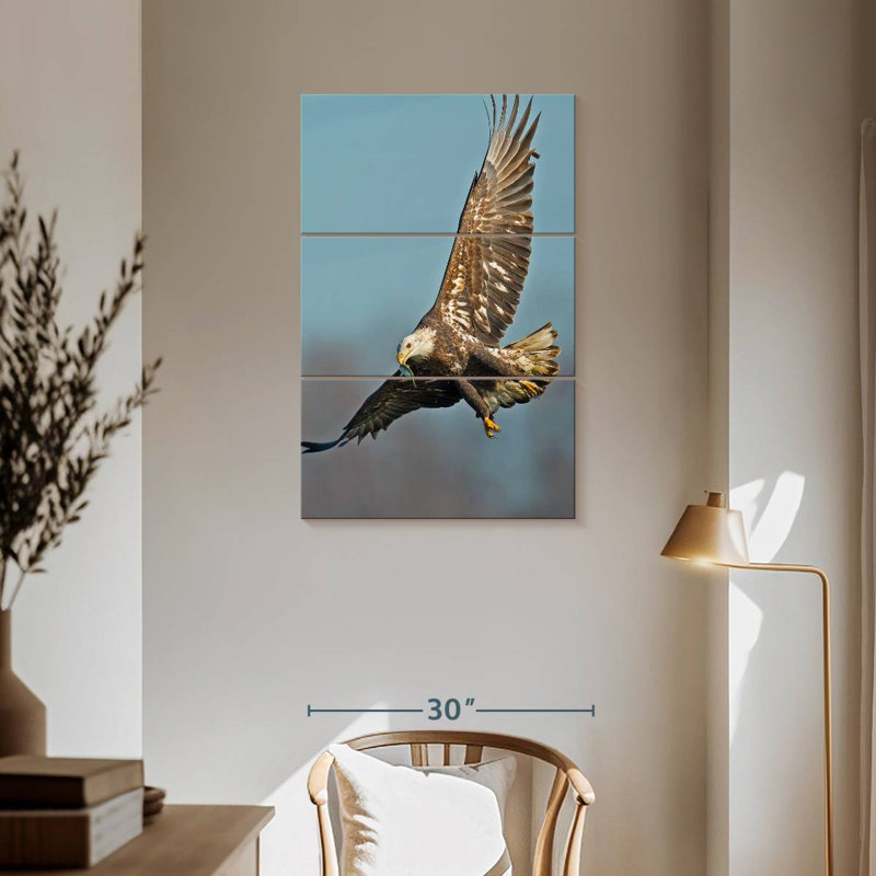Aigle à tête blanche Brampt, H 57 po x l 36 po