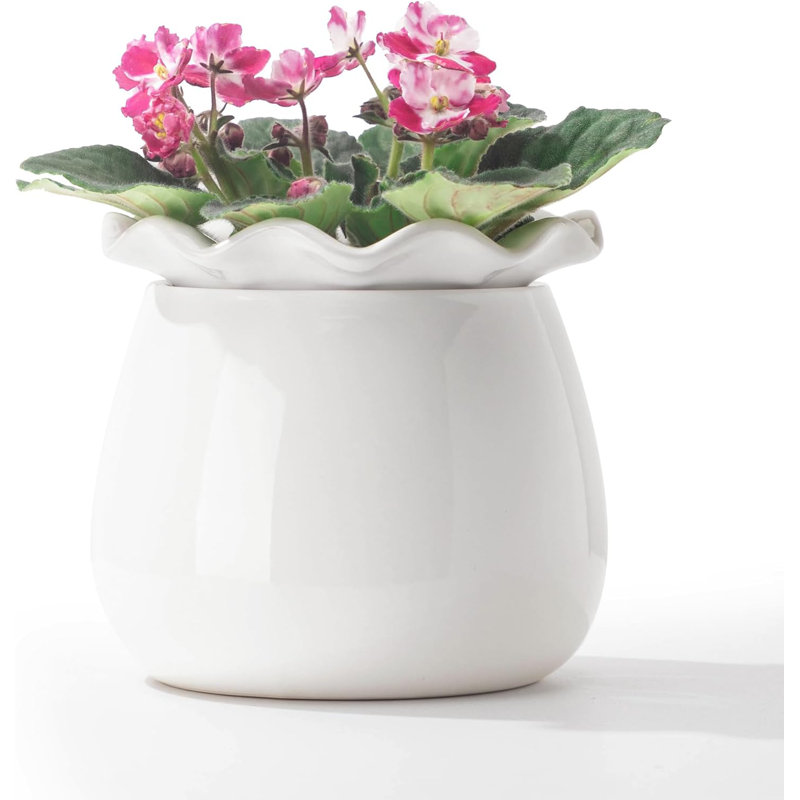 Self-watering Ceramic Pot